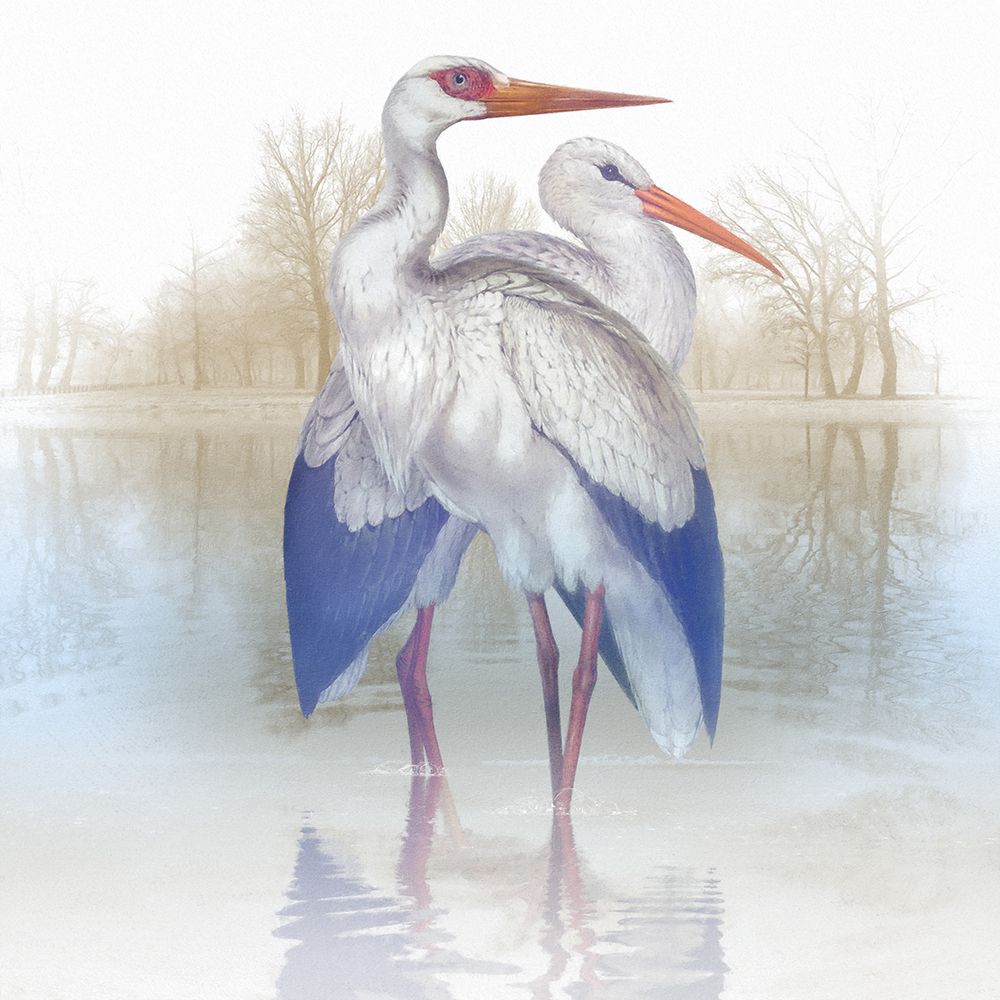 Misty Plumage III art print by Steve Hunziker for $57.95 CAD