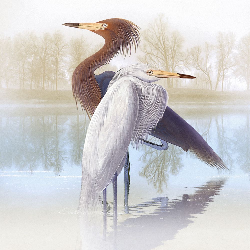 Misty Plumage IV art print by Steve Hunziker for $57.95 CAD