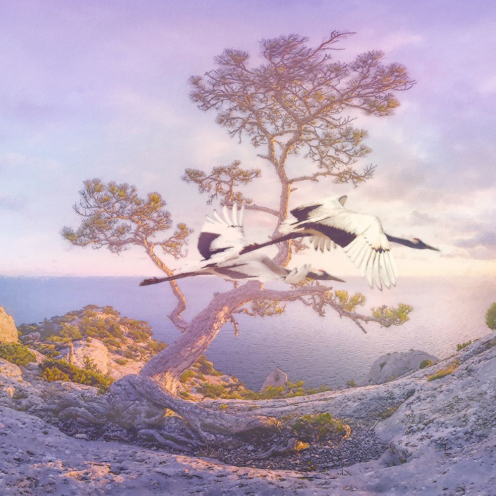 Mountain Crane I art print by Steve Hunziker for $57.95 CAD