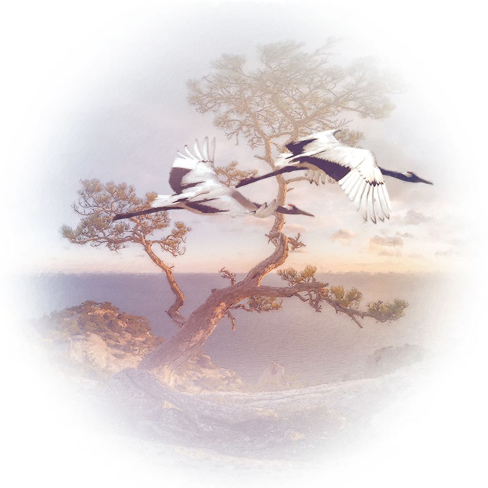 Mountain Crane II art print by Steve Hunziker for $57.95 CAD