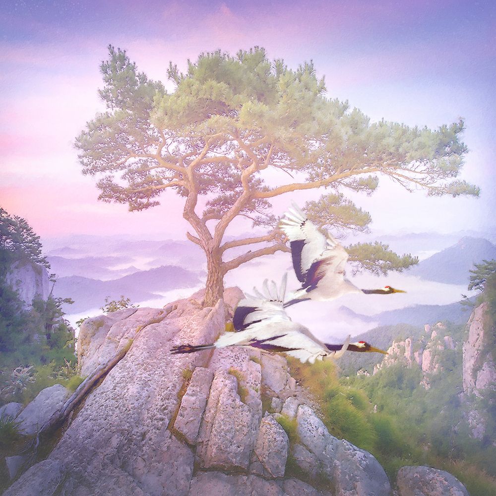 Mountain Crane III art print by Steve Hunziker for $57.95 CAD