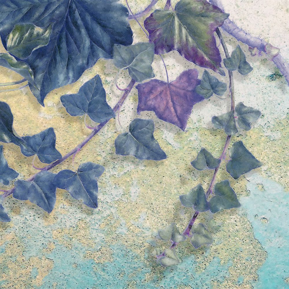 Reductive Vine II art print by Steve Hunziker for $57.95 CAD