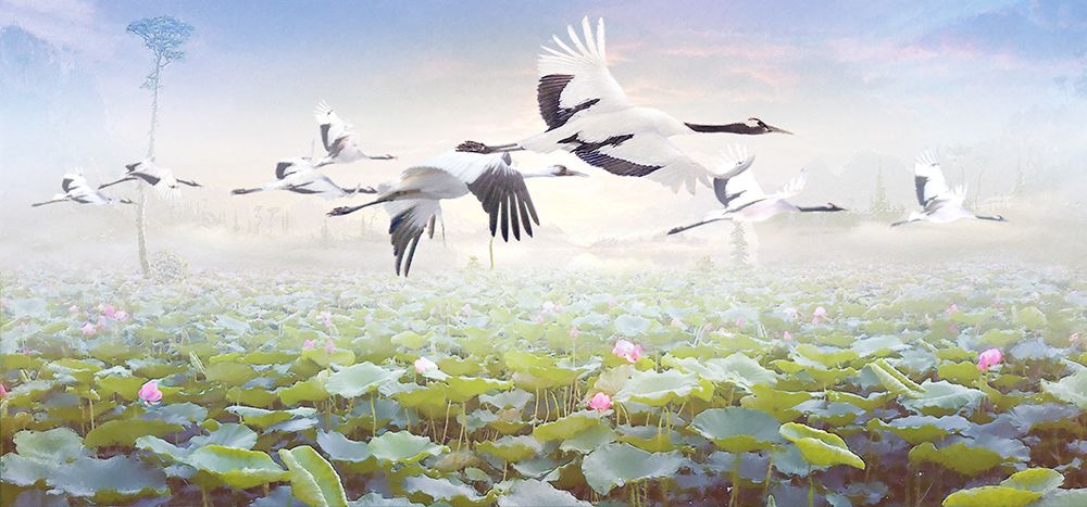 Lotus Tripers art print by Steve Hunziker for $57.95 CAD