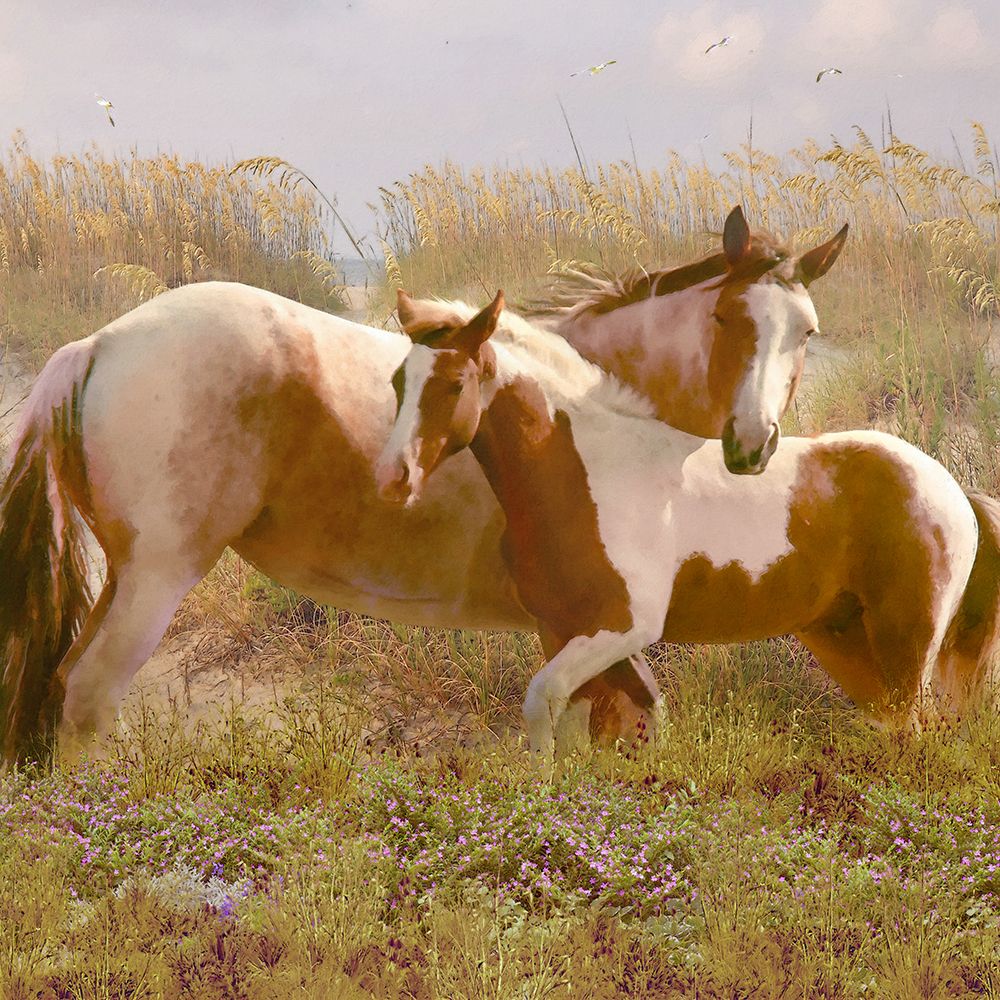 Equine Exuberance art print by Steve Hunziker for $57.95 CAD