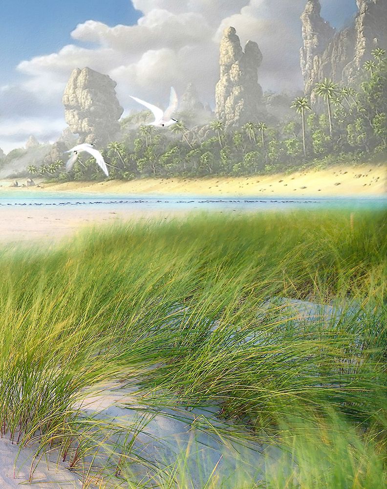 Celestial Tern II art print by Steve Hunziker for $57.95 CAD