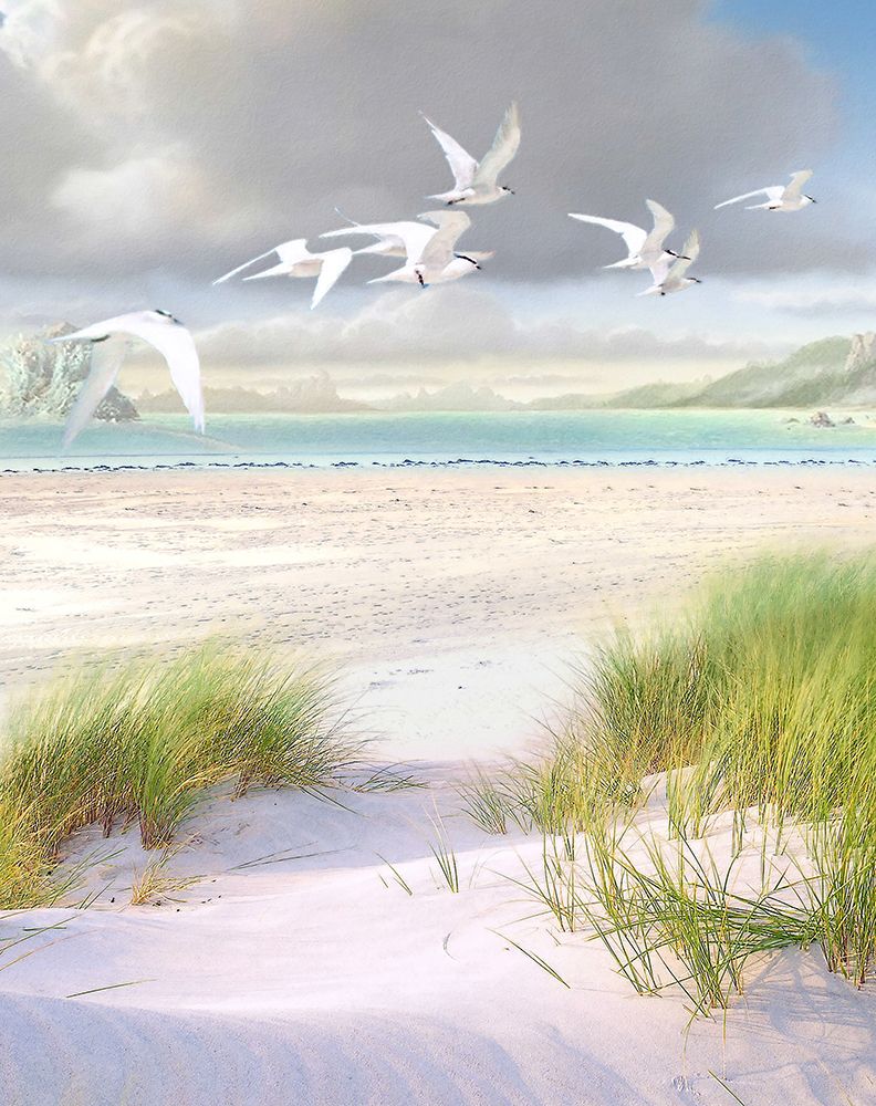 Celestial Tern III art print by Steve Hunziker for $57.95 CAD