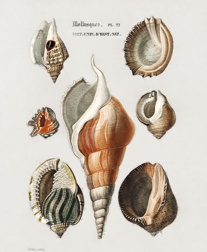 Repeating Image III art print by Steve Hunziker for $57.95 CAD