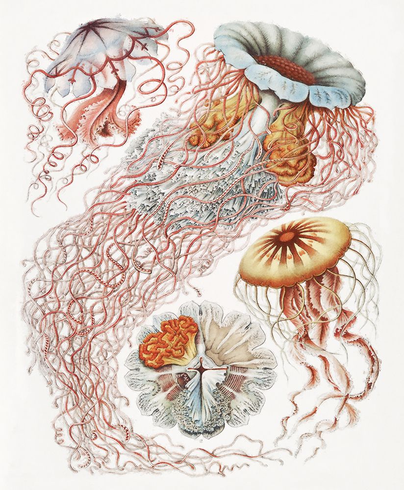 Repeating Image V art print by Steve Hunziker for $57.95 CAD