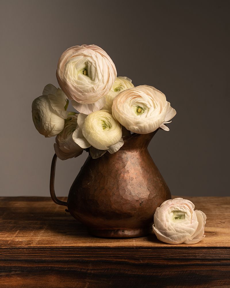 Pitcher Perfect Petals art print by Leah Maclean for $57.95 CAD