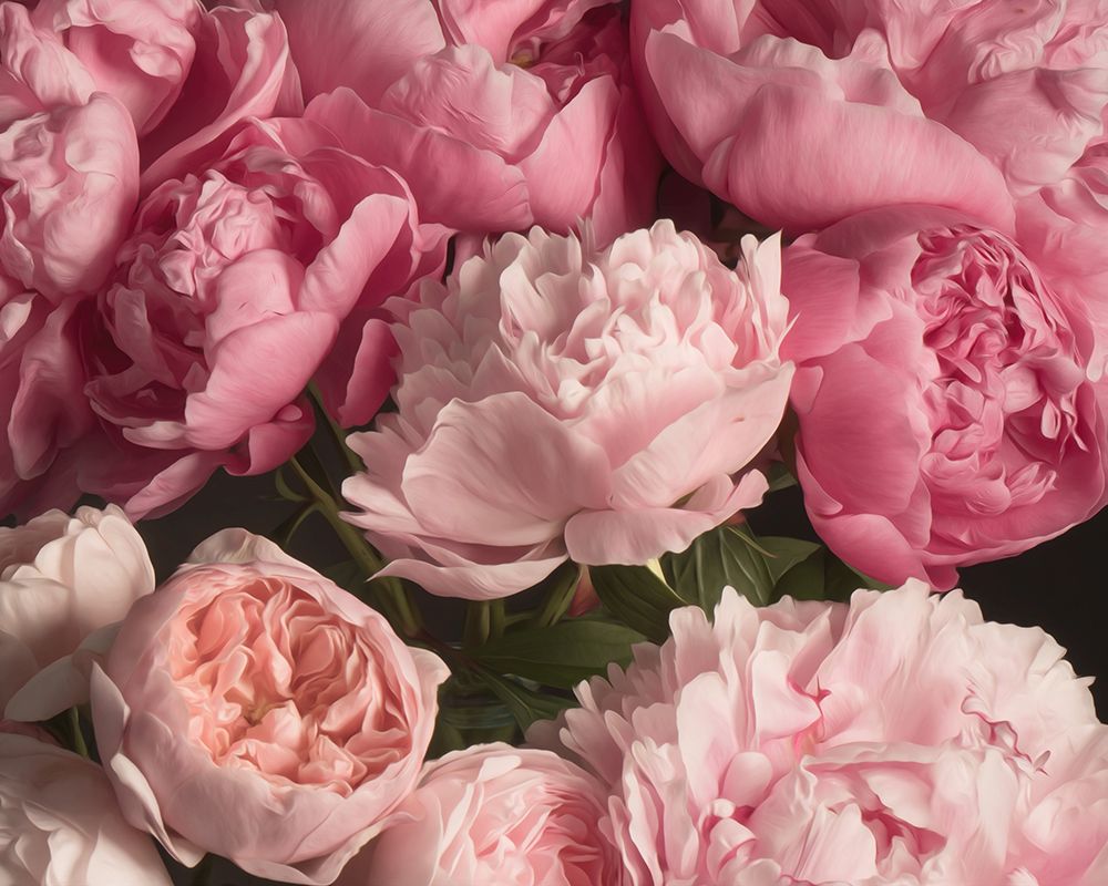 Pink Petals art print by Leah Maclean for $57.95 CAD