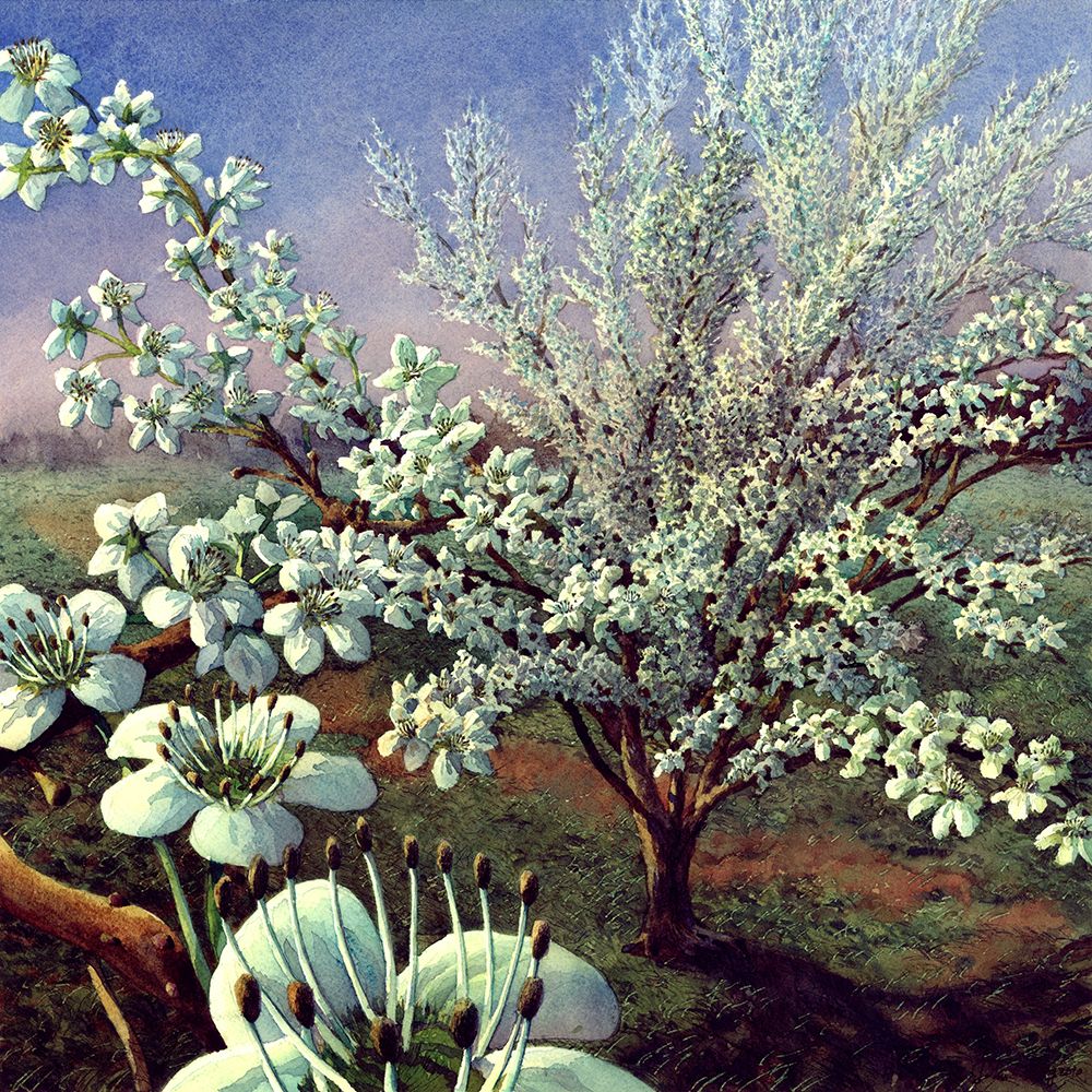 Tree Music II art print by John Wang for $57.95 CAD