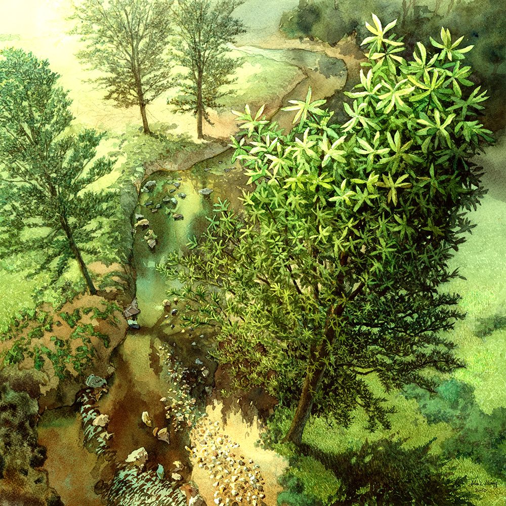 Tree Music V art print by John Wang for $57.95 CAD