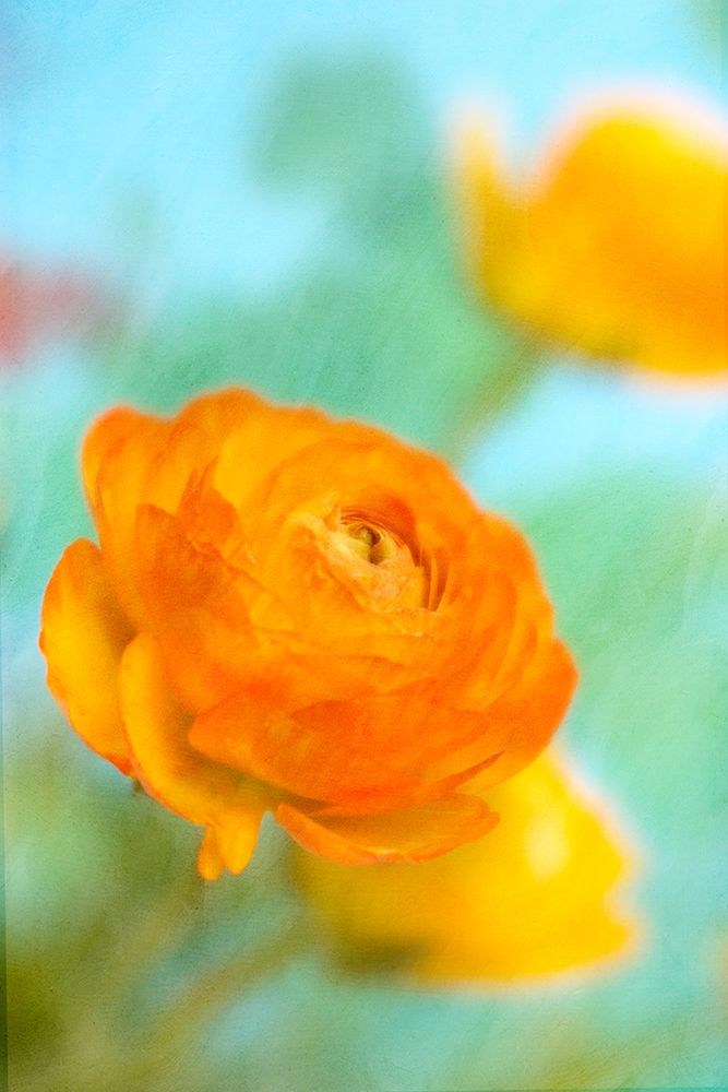 Bright art print by Judy Stalus for $57.95 CAD