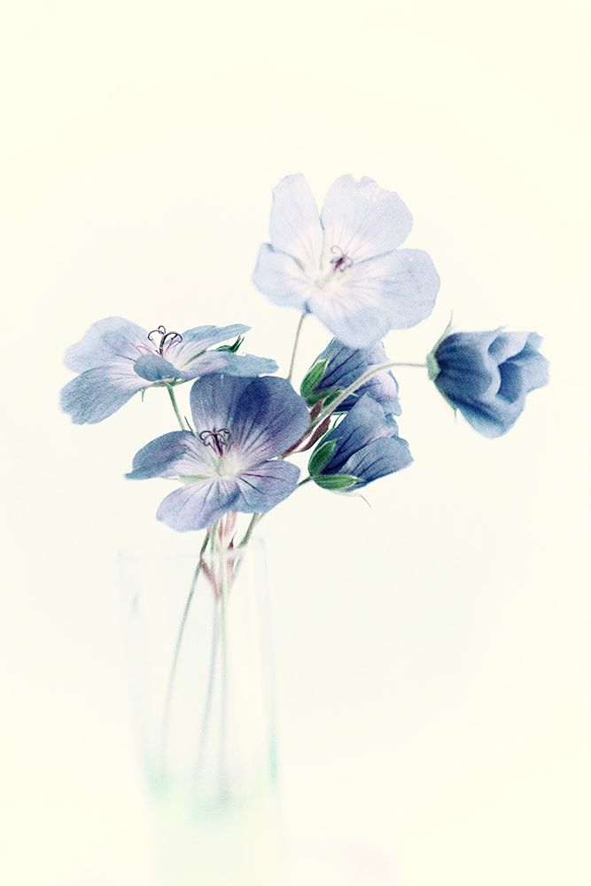Blue art print by Judy Stalus for $57.95 CAD