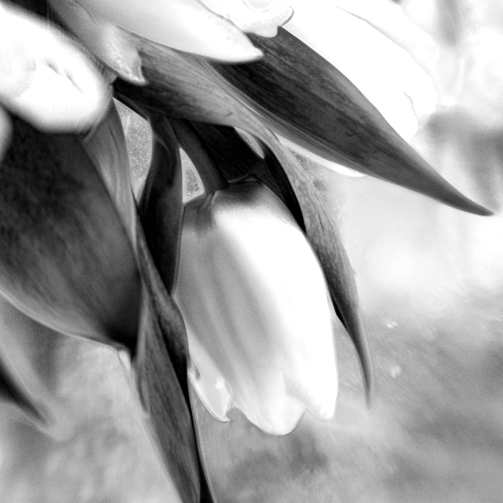 Remember art print by Judy Stalus for $57.95 CAD