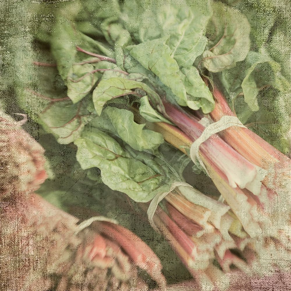 Market art print by Judy Stalus for $57.95 CAD