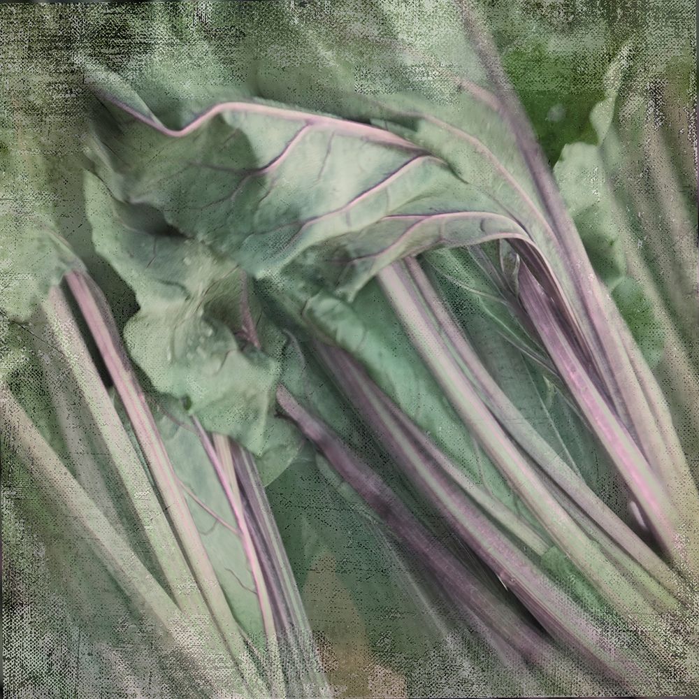 Day Dream art print by Judy Stalus for $57.95 CAD