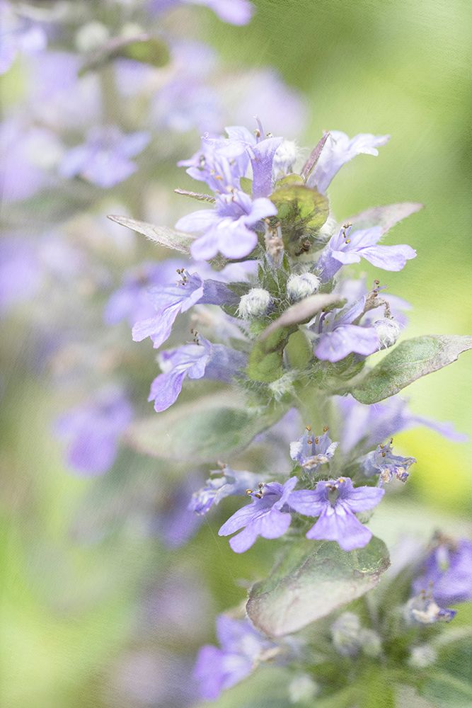 Blue Light art print by Judy Stalus for $57.95 CAD