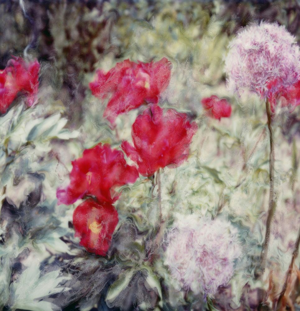 Garden art print by Judy Stalus for $57.95 CAD