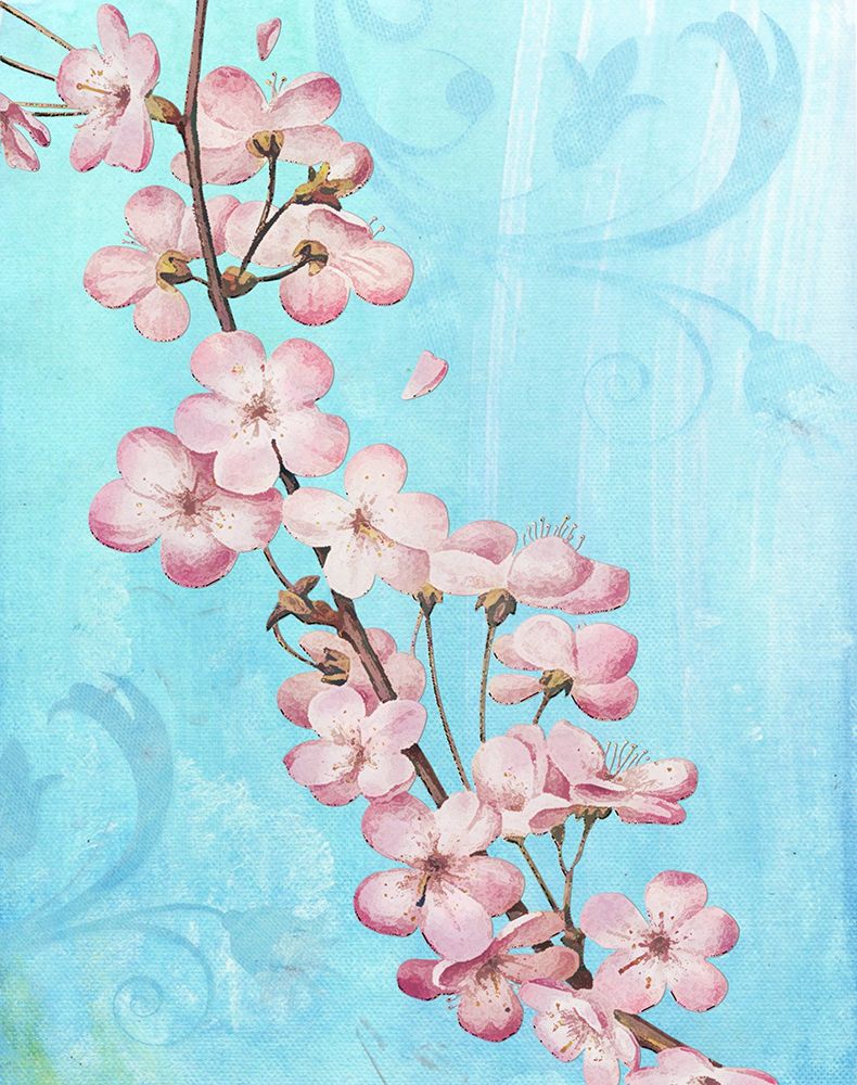 Blush art print by Karen Smith for $57.95 CAD
