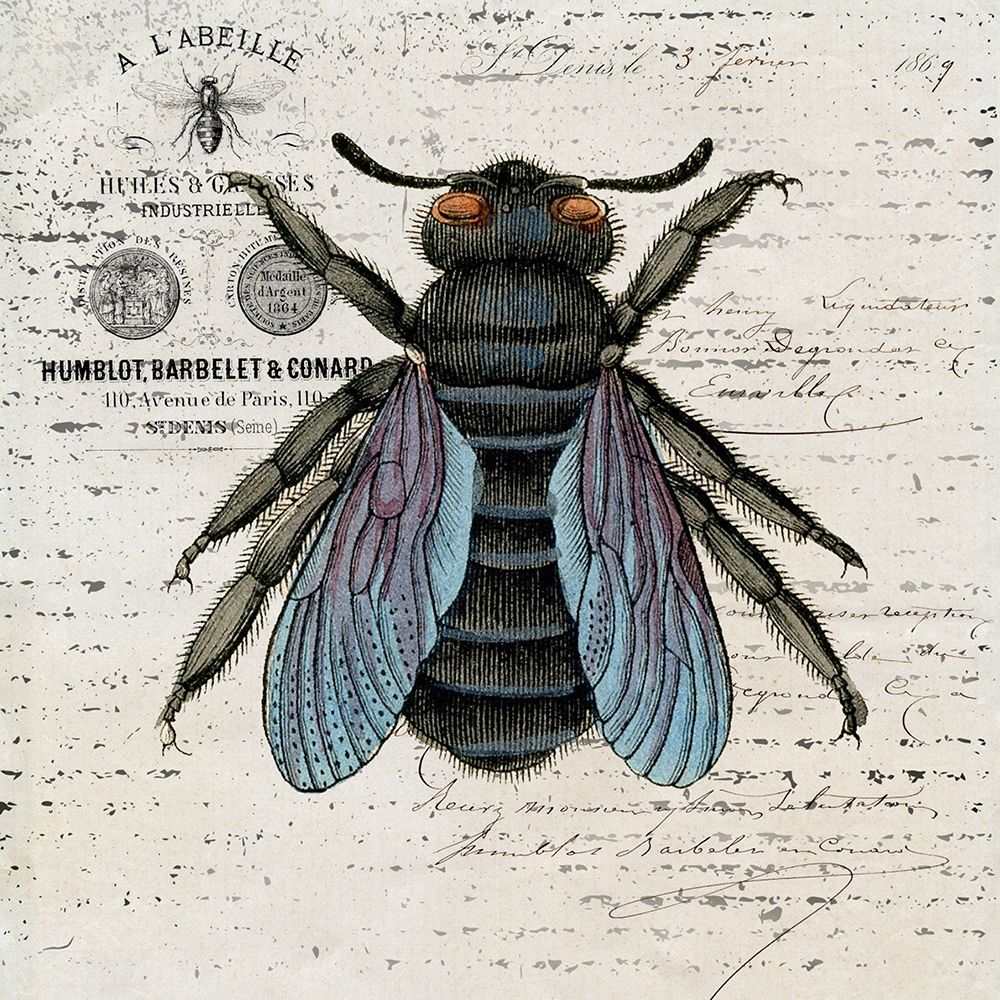 History Bee II art print by Karen Smith for $57.95 CAD