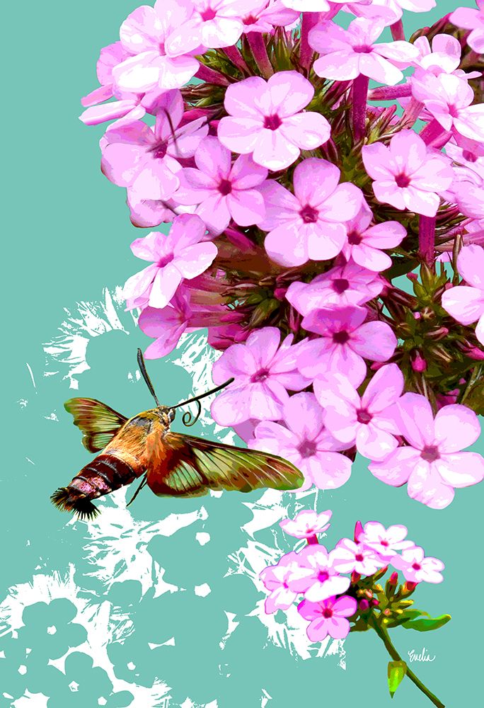 Clearwing On Flox art print by Evalia Designs for $57.95 CAD