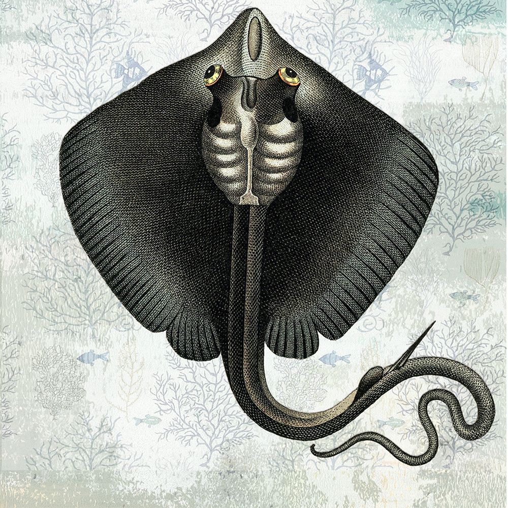 Oceaniana I art print by Karen Smith for $57.95 CAD