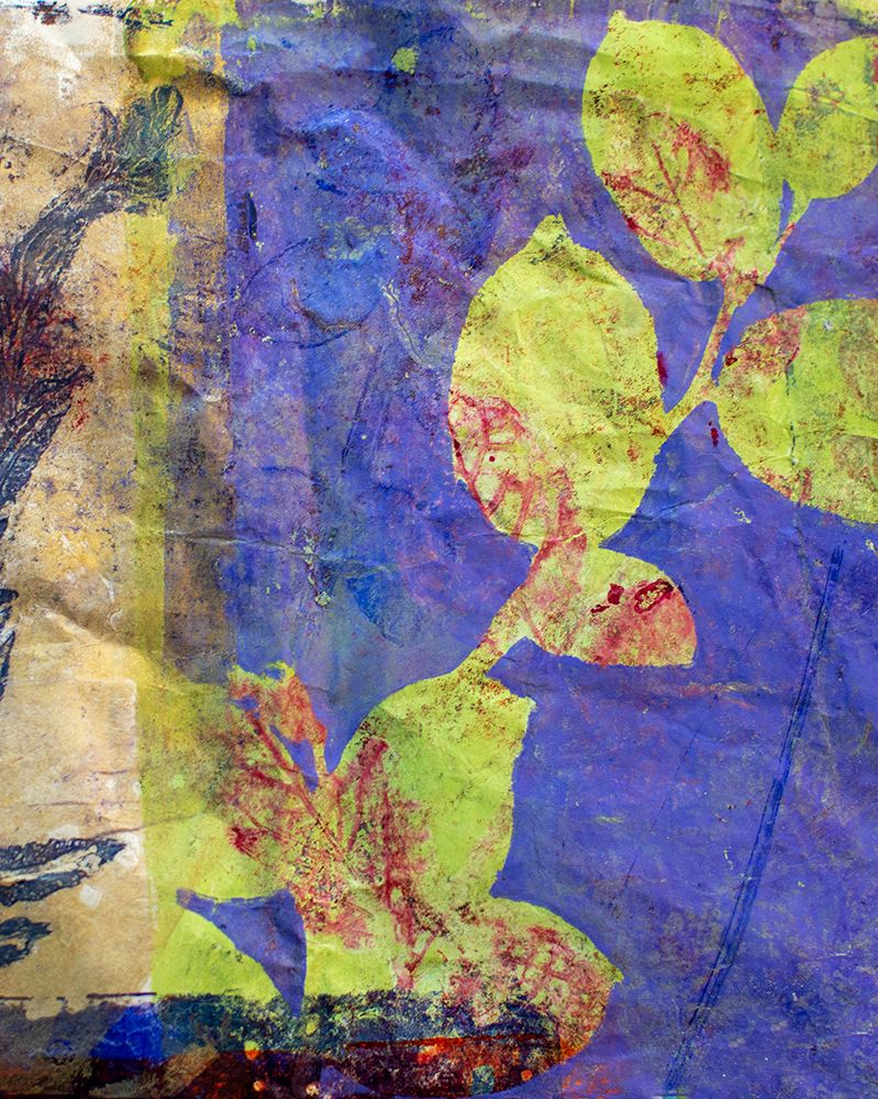Lavender art print by Elizabeth St Hilaire for $57.95 CAD