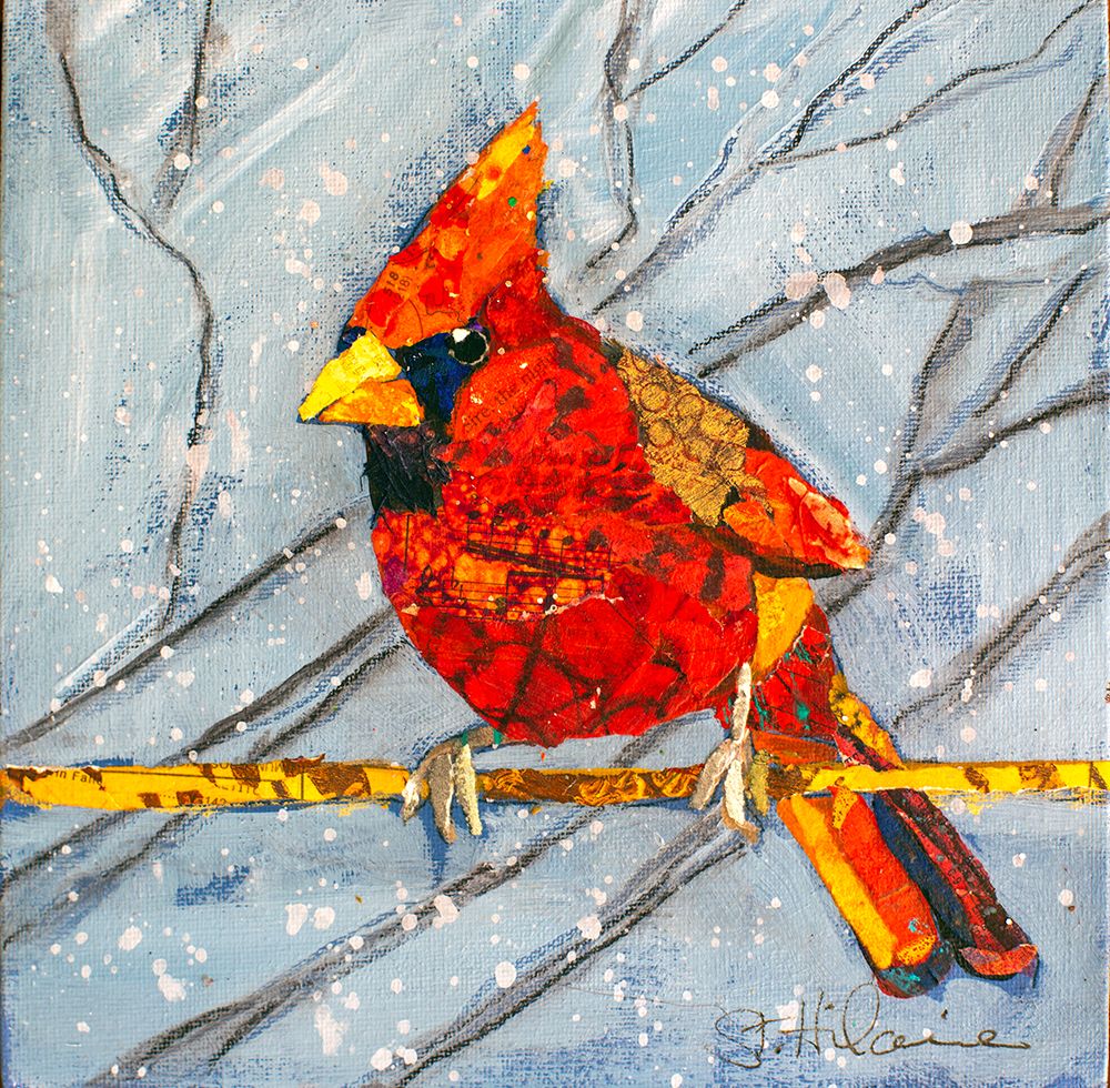 Winter Cardinal Male art print by Elizabeth St Hilaire for $57.95 CAD