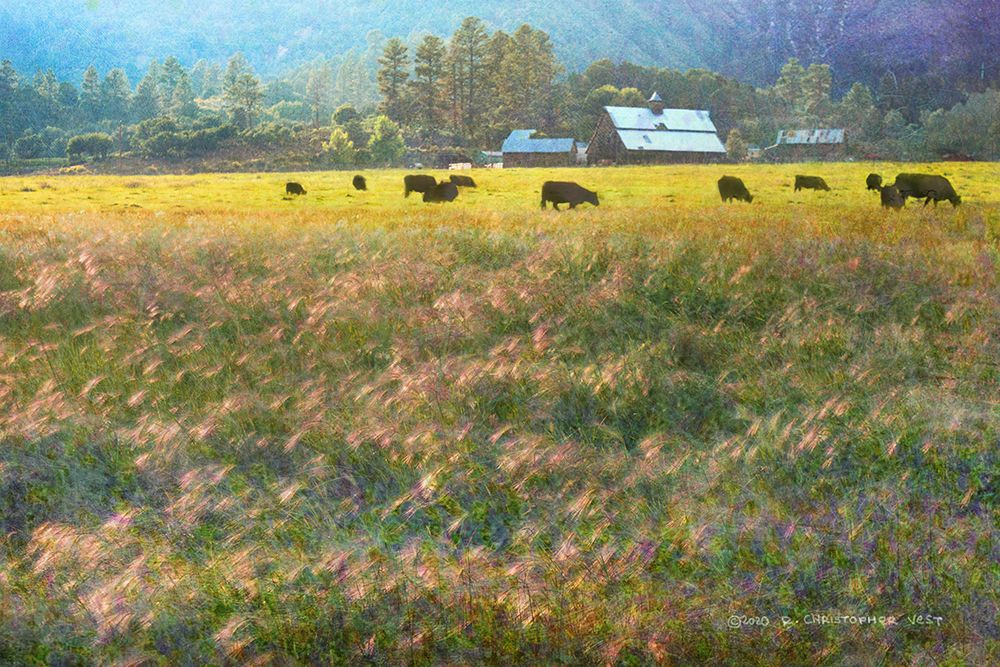 Barn and Foxtail Cherry Creek art print by Christopher Vest for $57.95 CAD