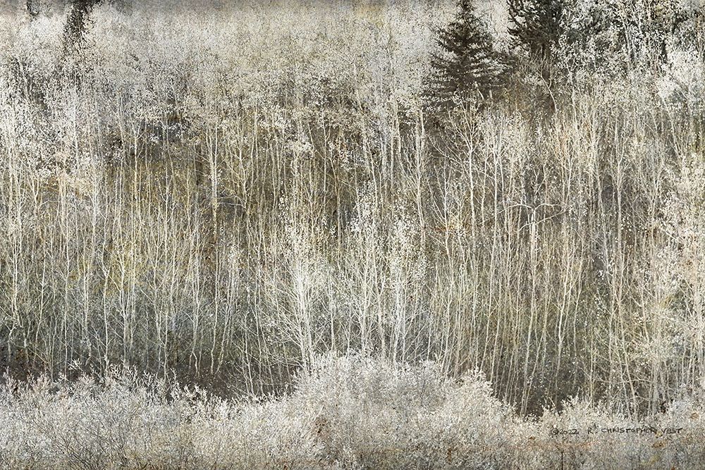 Aspen Willow leaves Abstract art print by Christopher Vest for $57.95 CAD