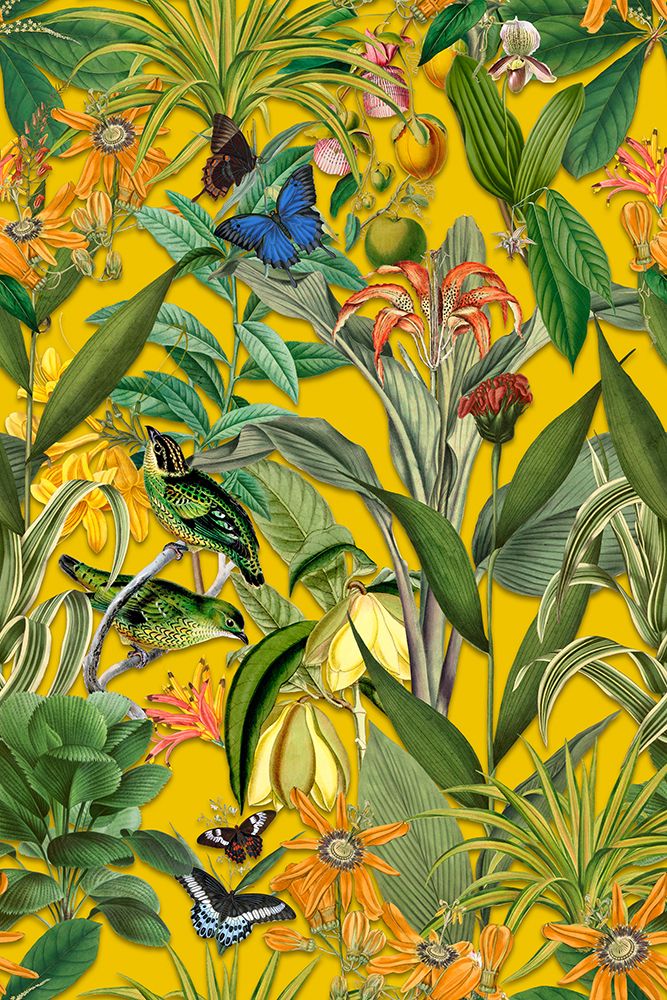 The Jungle of the Birds art print by Andrea Haase for $57.95 CAD