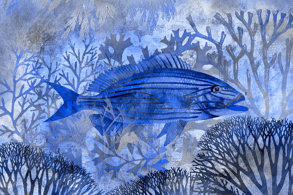 Underwater Paradise II art print by Andrea Haase for $57.95 CAD