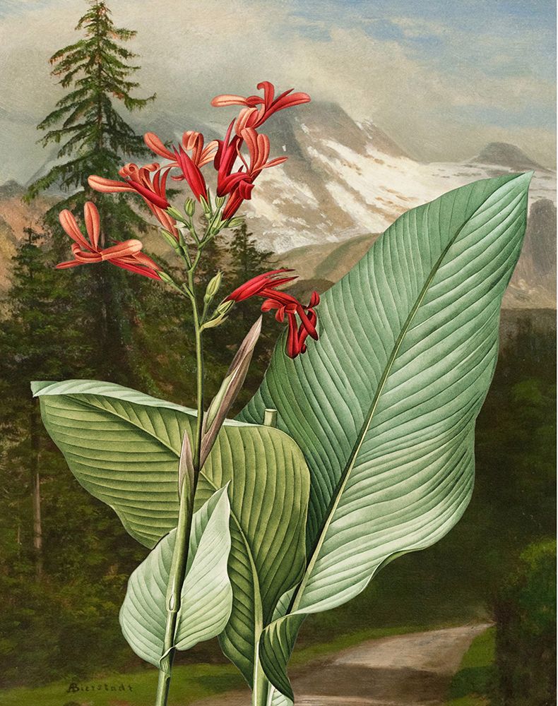 Wild Shoot II art print by Karen Smith for $57.95 CAD