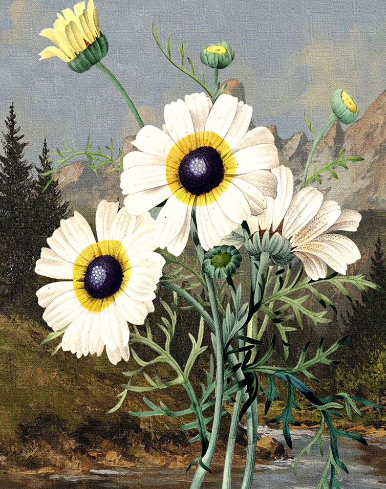 Wild Shoot III art print by Karen Smith for $57.95 CAD