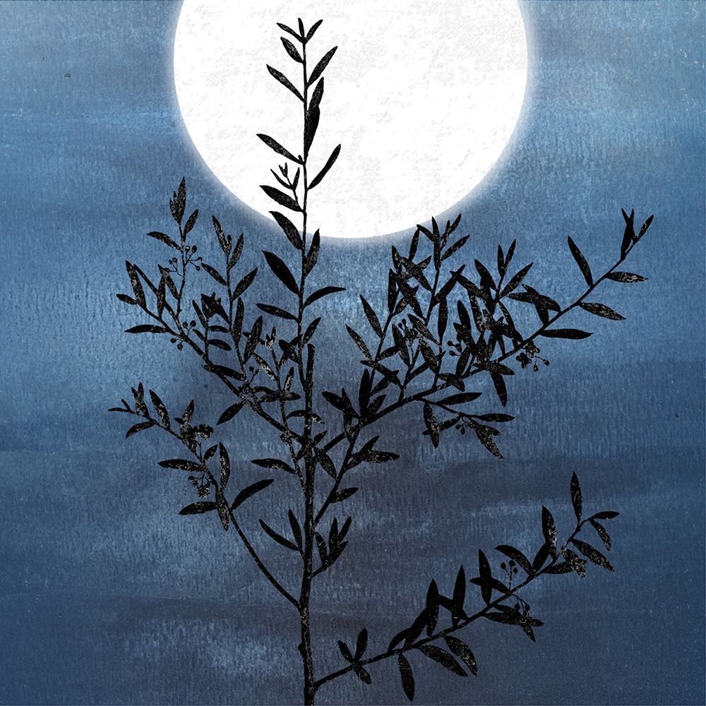 Bythe Moon I art print by Karen Smith for $57.95 CAD