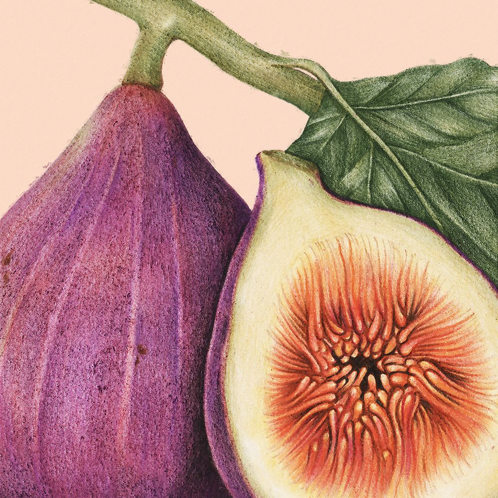 JuiceyFruit I art print by Steve Hunziker for $57.95 CAD
