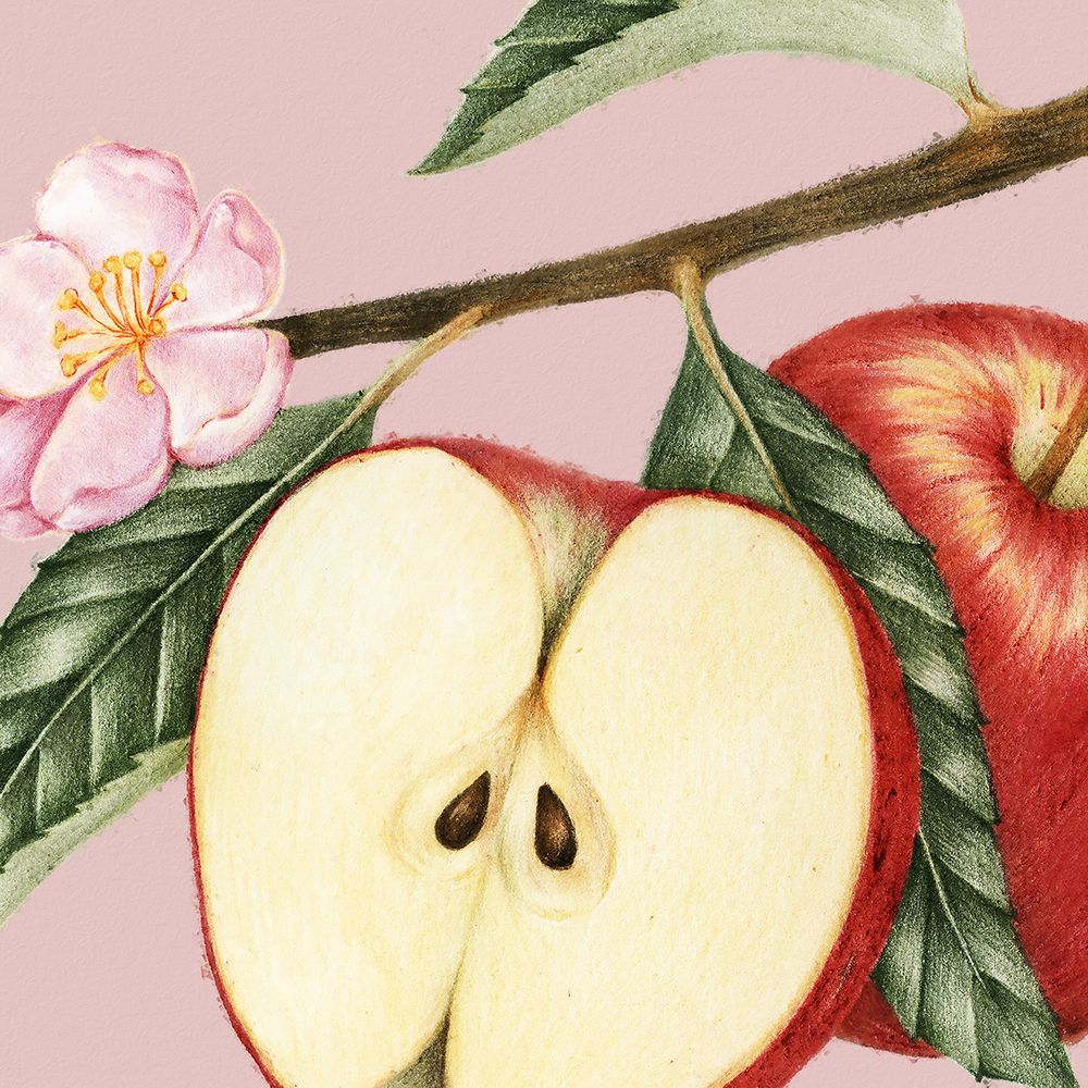 JuiceyFruit IV art print by Steve Hunziker for $57.95 CAD
