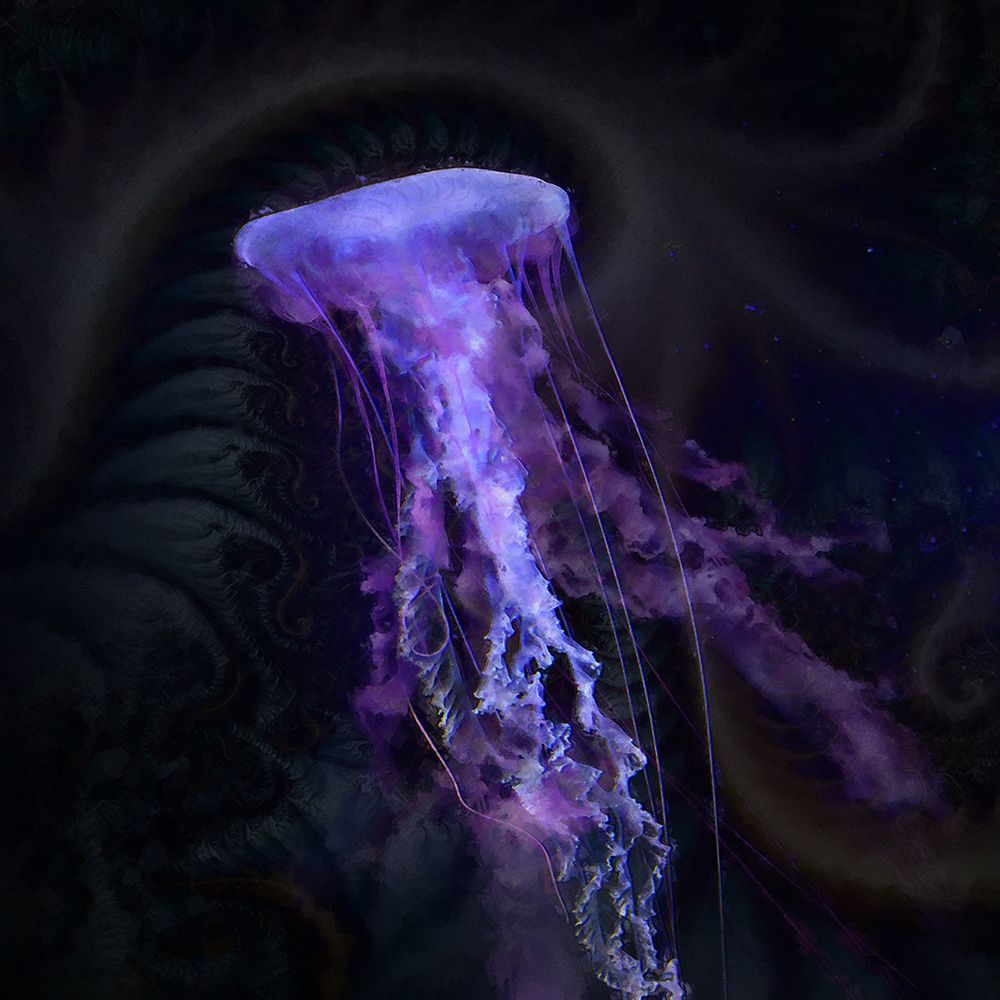 Gelatinous II art print by Steve Hunziker for $57.95 CAD