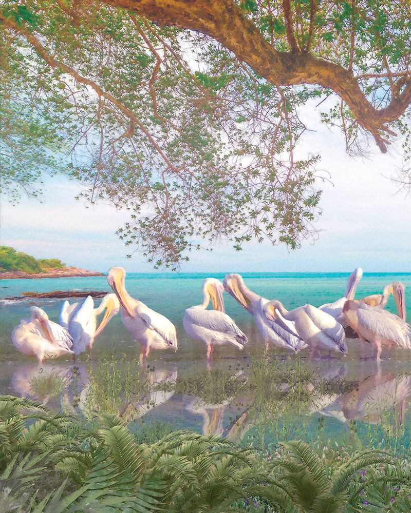 Coastal Plumage art print by Steve Hunziker for $57.95 CAD