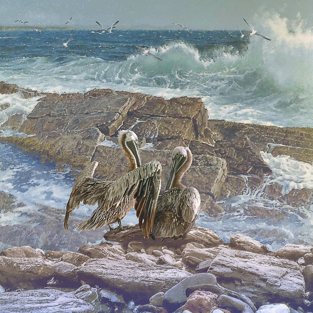 Deep Sea I art print by Steve Hunziker for $57.95 CAD