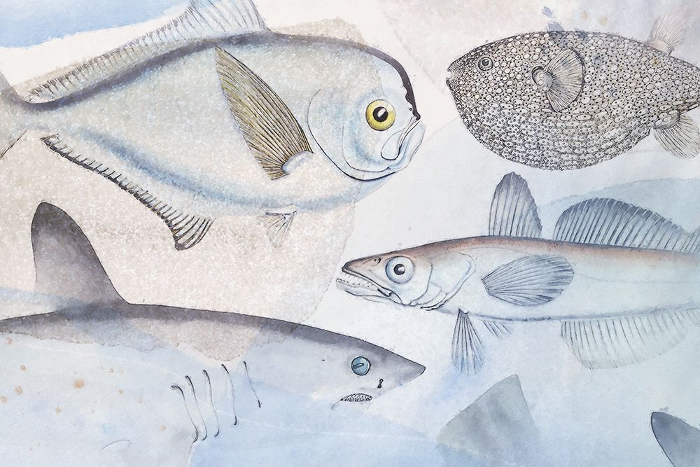 Deep Sea III art print by Steve Hunziker for $57.95 CAD