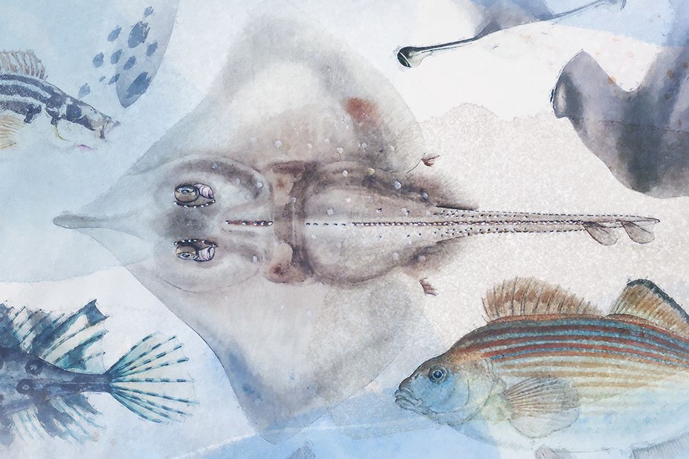 Deep Sea IV art print by Steve Hunziker for $57.95 CAD