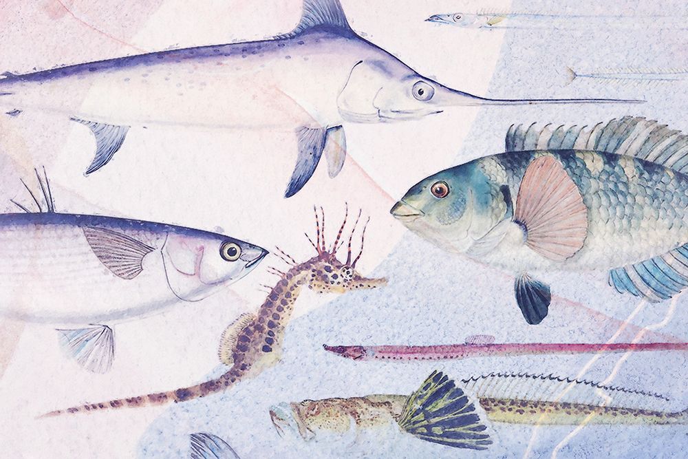 Deep Sea VI art print by Steve Hunziker for $57.95 CAD