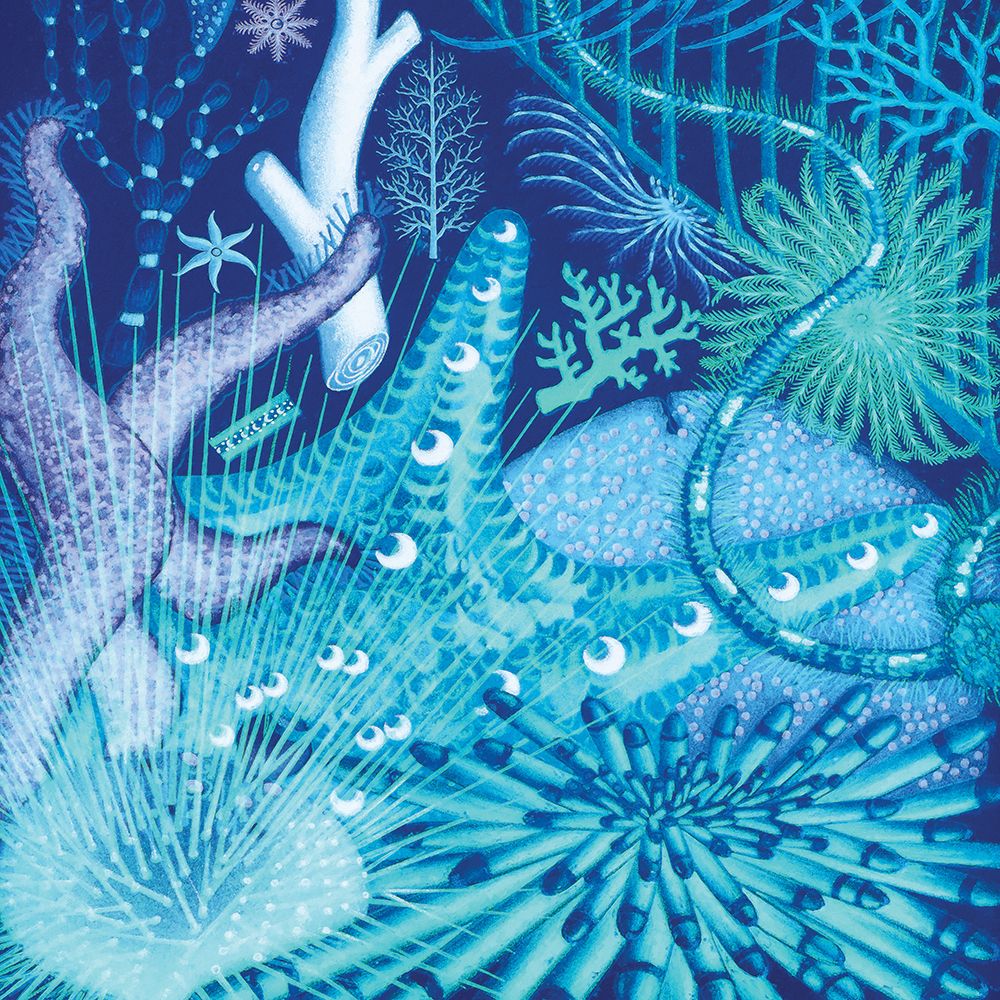 Ocean Blue I art print by Steve Hunziker for $57.95 CAD