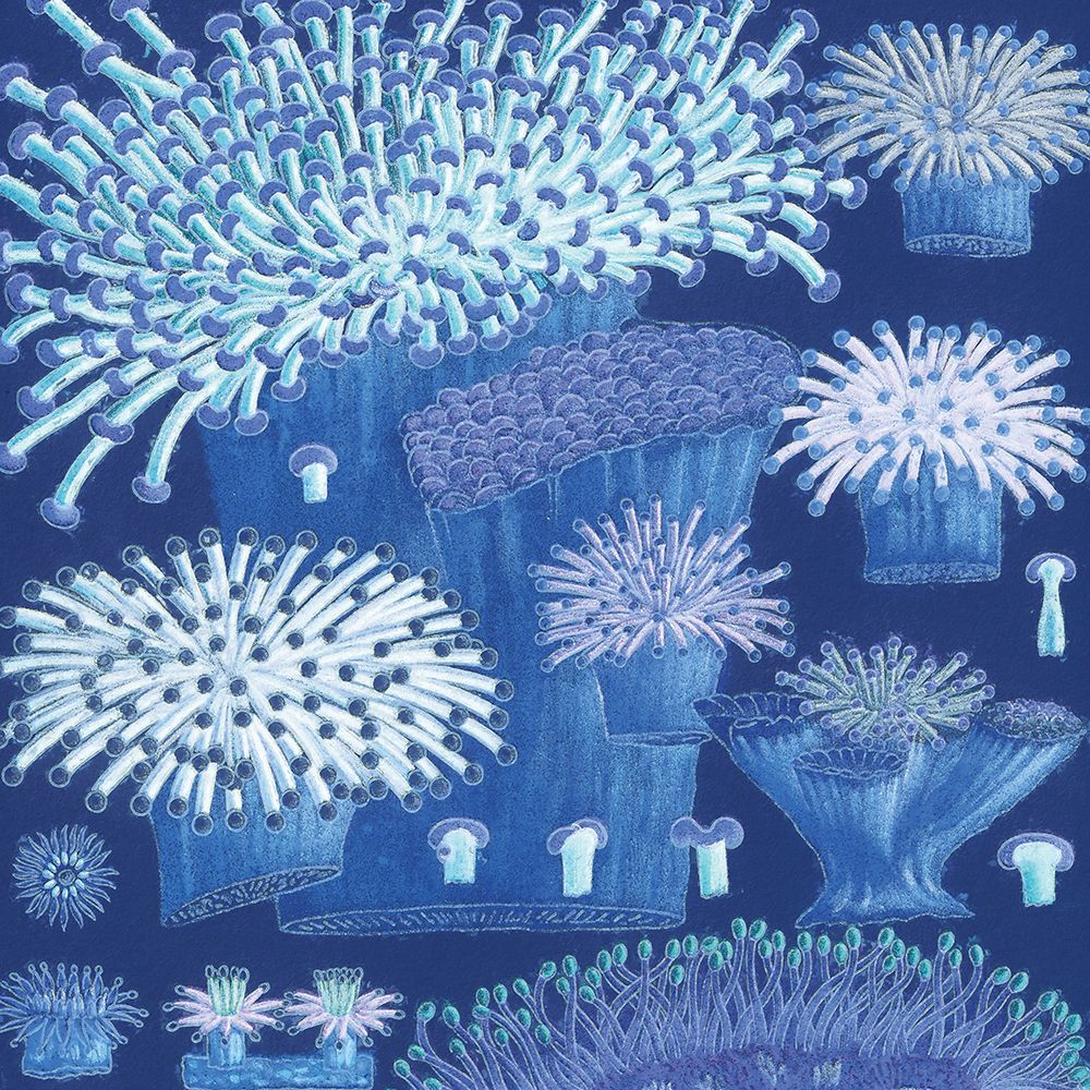 Ocean Blue IV art print by Steve Hunziker for $57.95 CAD