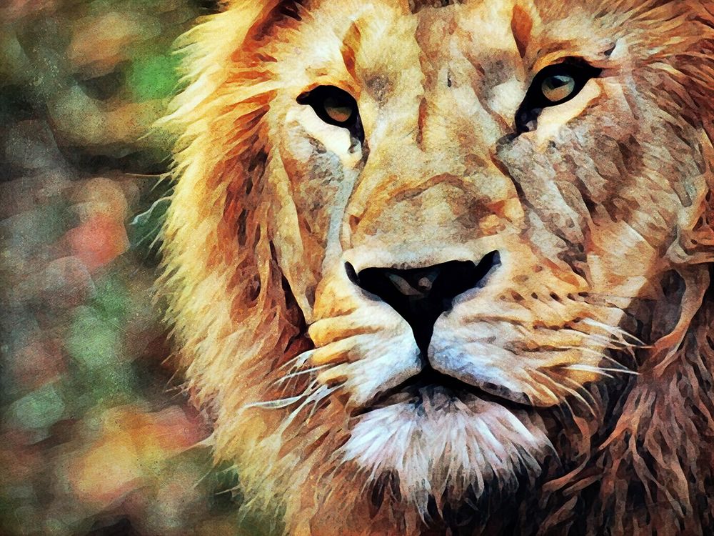 Lion Watch And Wait art print by Ashley Aldridge for $57.95 CAD