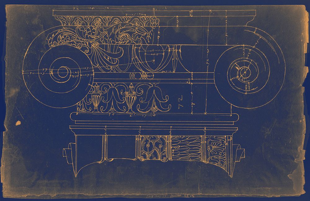 Unidentified Ionic-Capital elevation art print by Irena Orlov for $57.95 CAD
