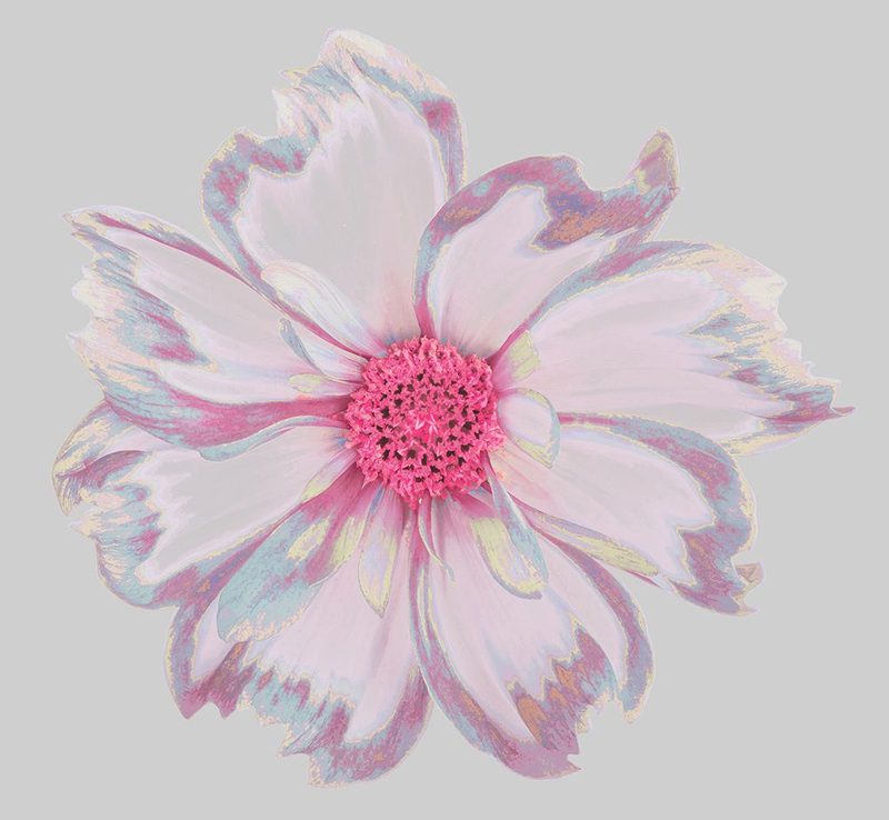 Colorful Flower I art print by Irena Orlov for $57.95 CAD