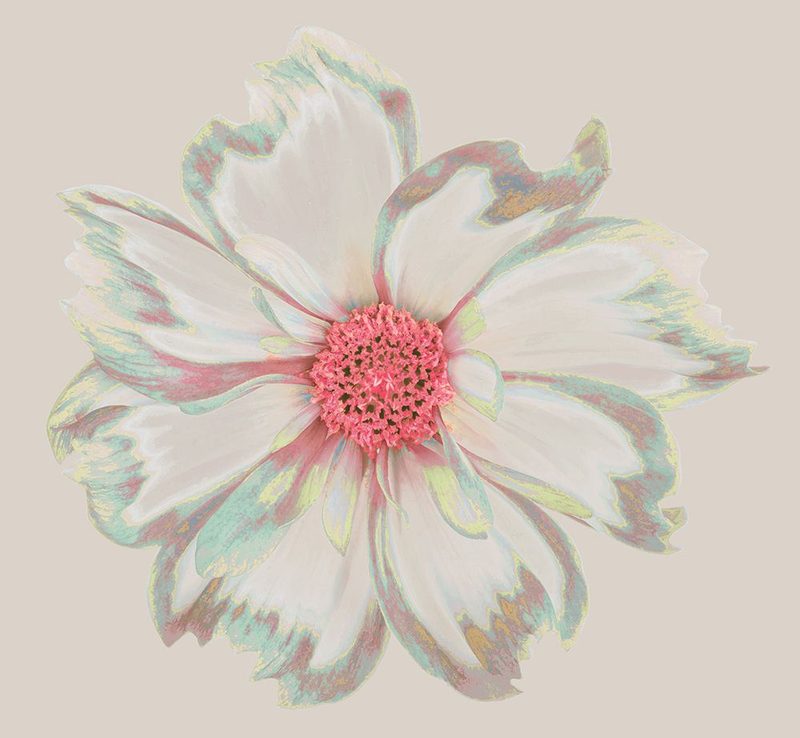 Colorful Flower II art print by Irena Orlov for $57.95 CAD